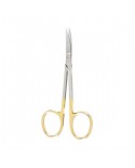 Iris Scissors