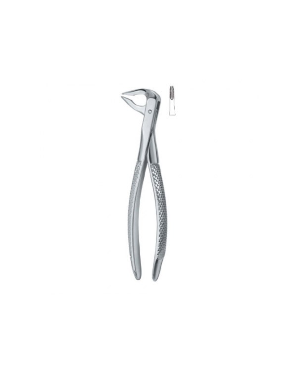 Tooth Ext Forceps